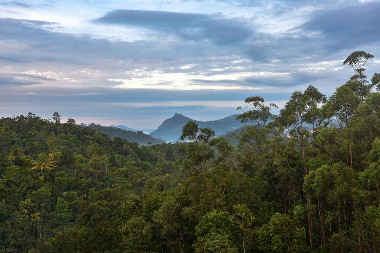 Hotel White House, Munnar Exteriér fotografie